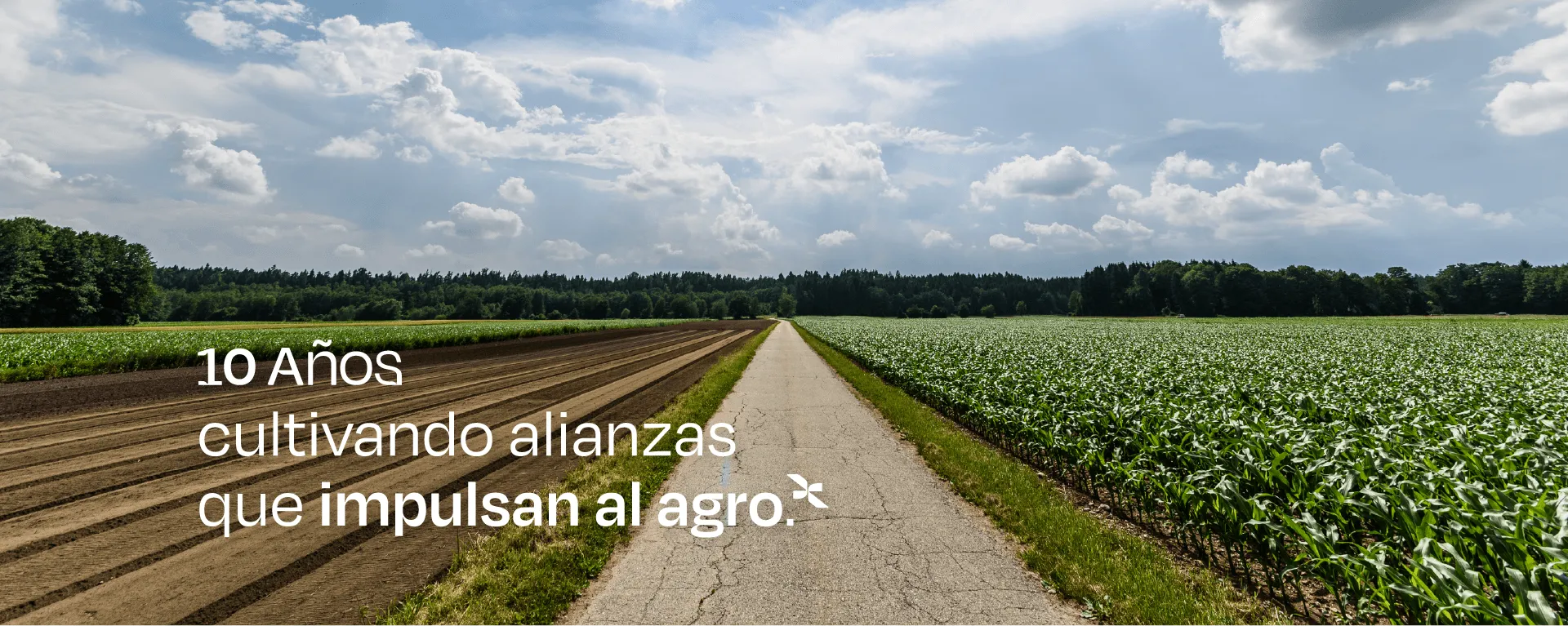Alianzas Nisus - Cultivamos alianzas que impulsan el agro